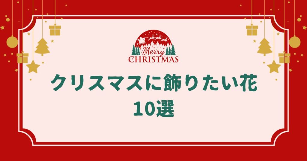 クリスマスに飾りたい花10選｜自宅を彩る＆贈り物にもぴったりなおすすめの種類