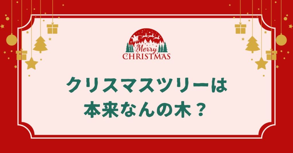 クリスマスツリーは本来なんの木？もみの木以外の種類や日本で使われる木も紹介！