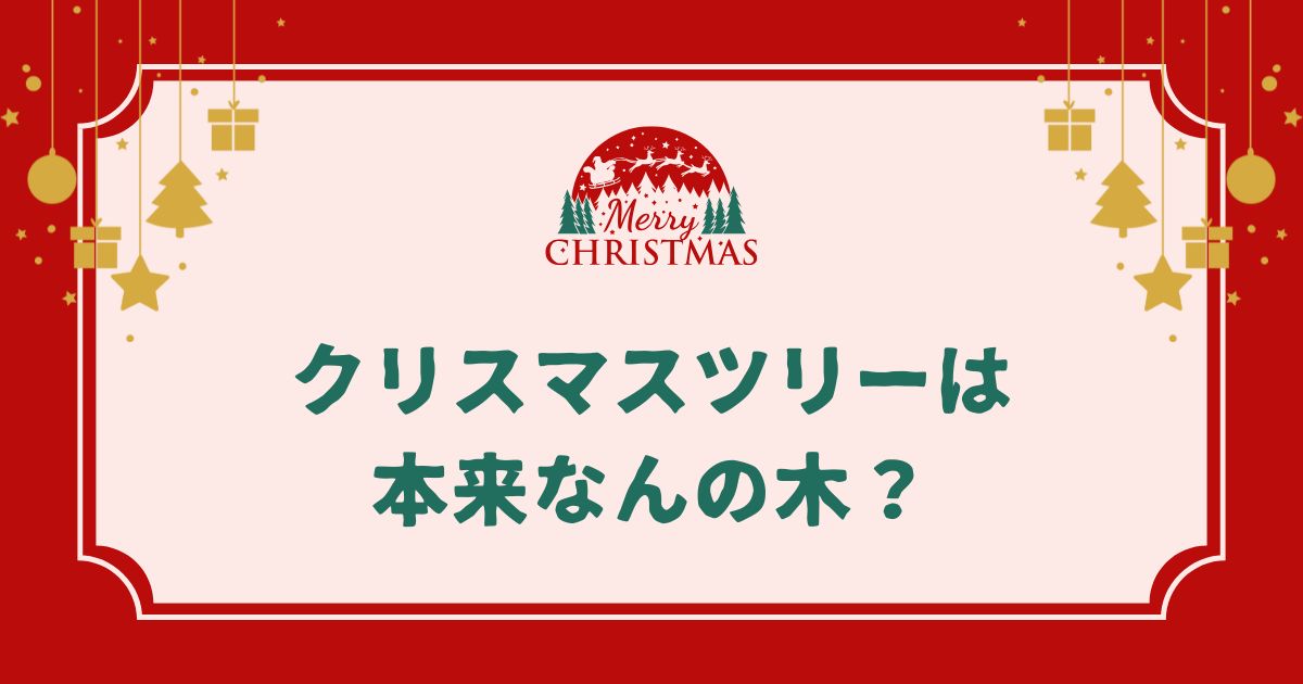 クリスマスツリーは本来なんの木？もみの木以外の種類や日本で使われる木も紹介！