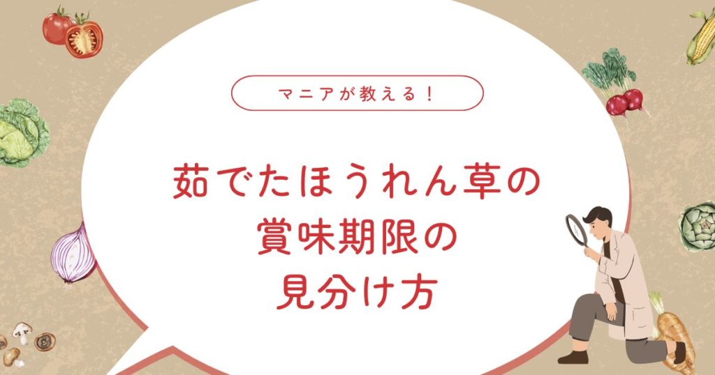 茹でたほうれん草は冷蔵庫で日持ちする？賞味期限や栄養・効能、腐るサインも紹介