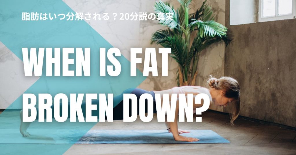 脂肪はいつ分解される？20分説の真実と、筋肉と脂肪はどちらが先に落ちるのか解説