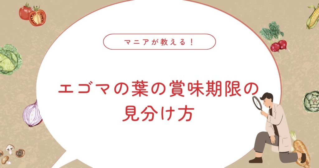 エゴマの葉の賞味期限は？食べられるか迷ったときの見分け方と保存のコツ