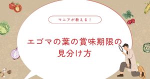 エゴマの葉の賞味期限は？食べられるか迷ったときの見分け方と保存のコツ