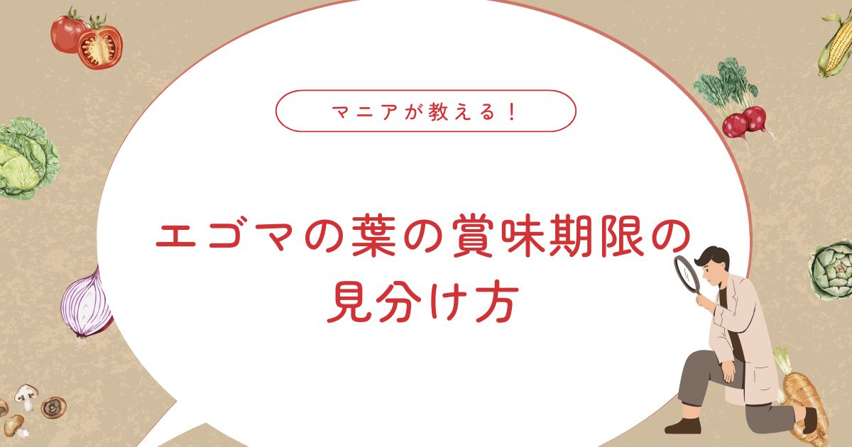 エゴマの葉の賞味期限は？食べられるか迷ったときの見分け方と保存のコツ