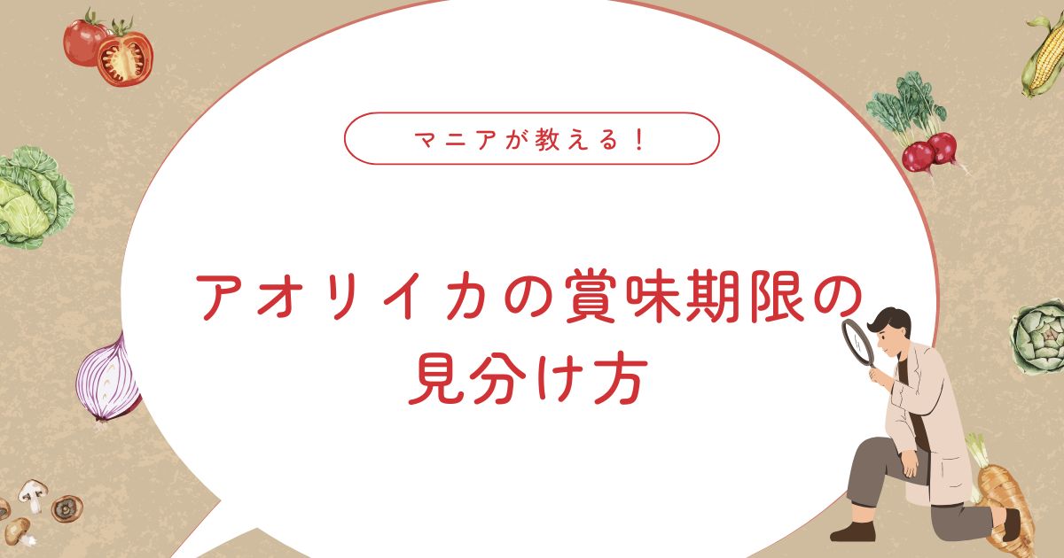 アオリイカの冷凍保存はどうする？そのまま・刺身・肝の保存と賞味期限の目安