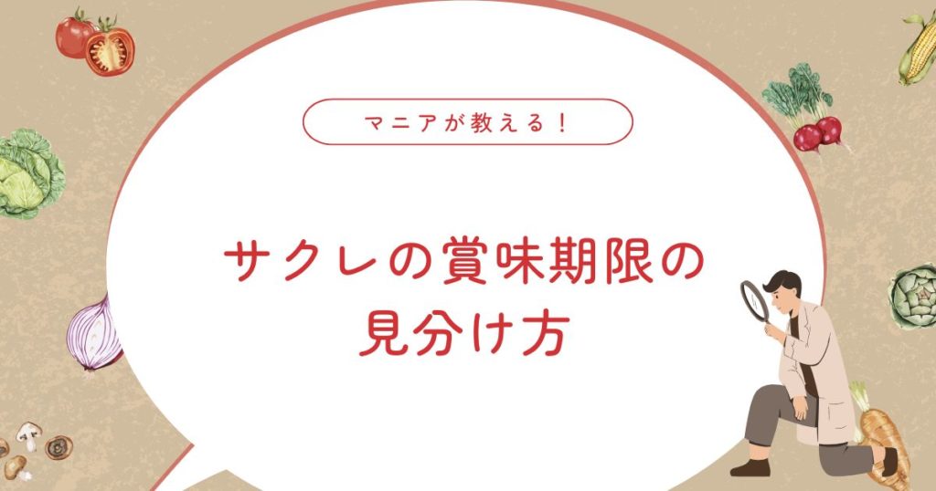 サクレに賞味期限がない理由とは？1年前でも食べられるかの見分け方と保存のコツ